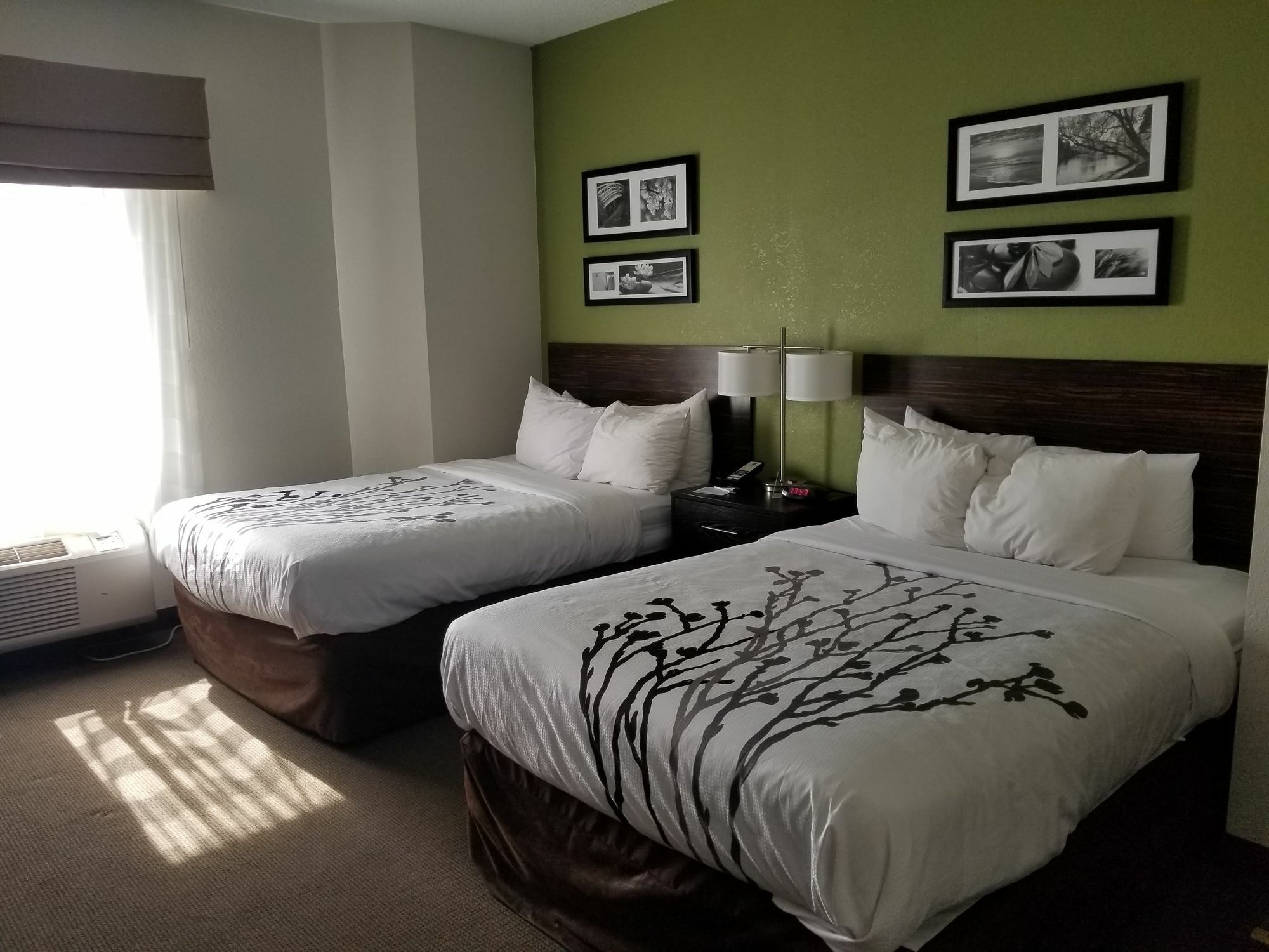 Sleep Inn Walterboro I-95 Ngoại thất bức ảnh