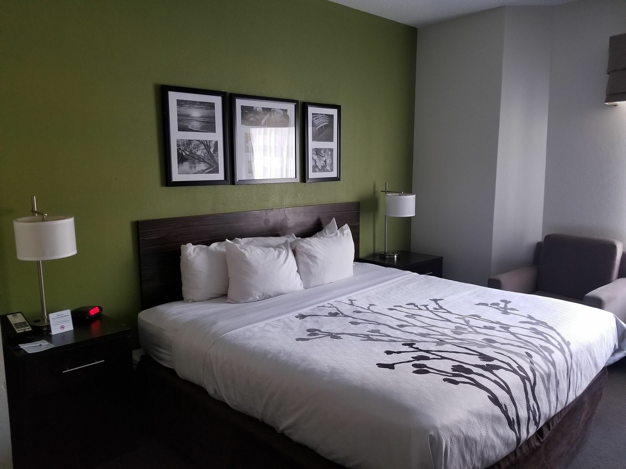 Sleep Inn Walterboro I-95 Ngoại thất bức ảnh